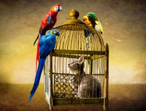 bunny in birdcage guarded by parrots